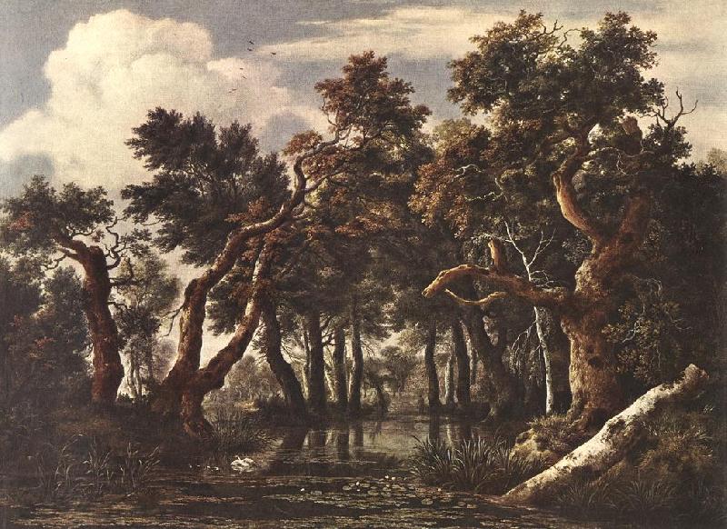 Jacob van Ruisdael The Marsh in a Forest oil painting picture